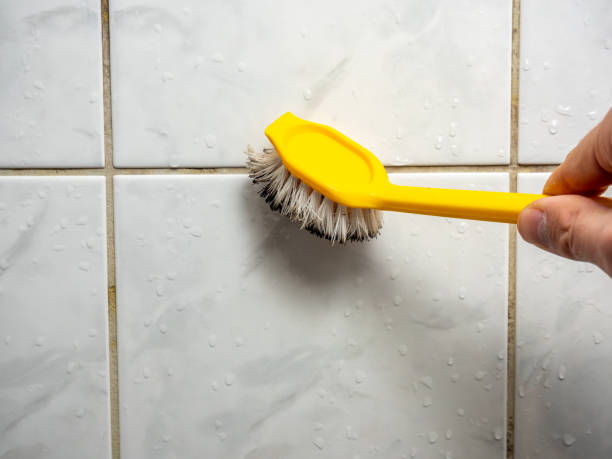 Best Professional Mold Removal  in Falmouth Foreside, ME