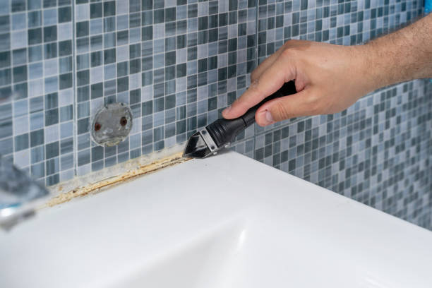 Best Mold Remediation  in Falmouth Foreside, ME