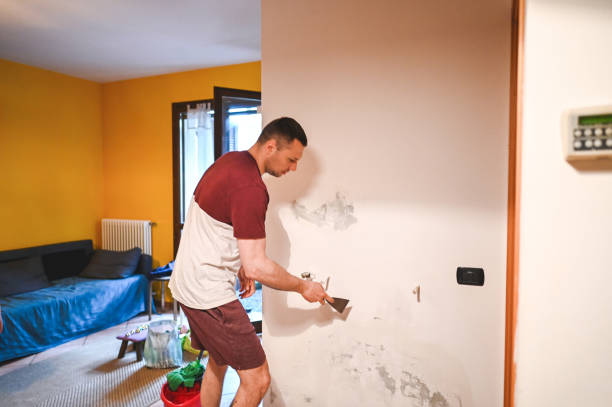 Best Professional Mold Removal  in Falmouth Foreside, ME