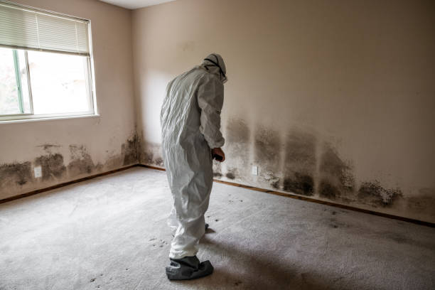 Best Water Damage Restoration  in Falmouth Foreside, ME